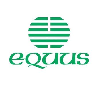 Equus Industries professional logo