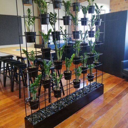 Plant Grid Frames