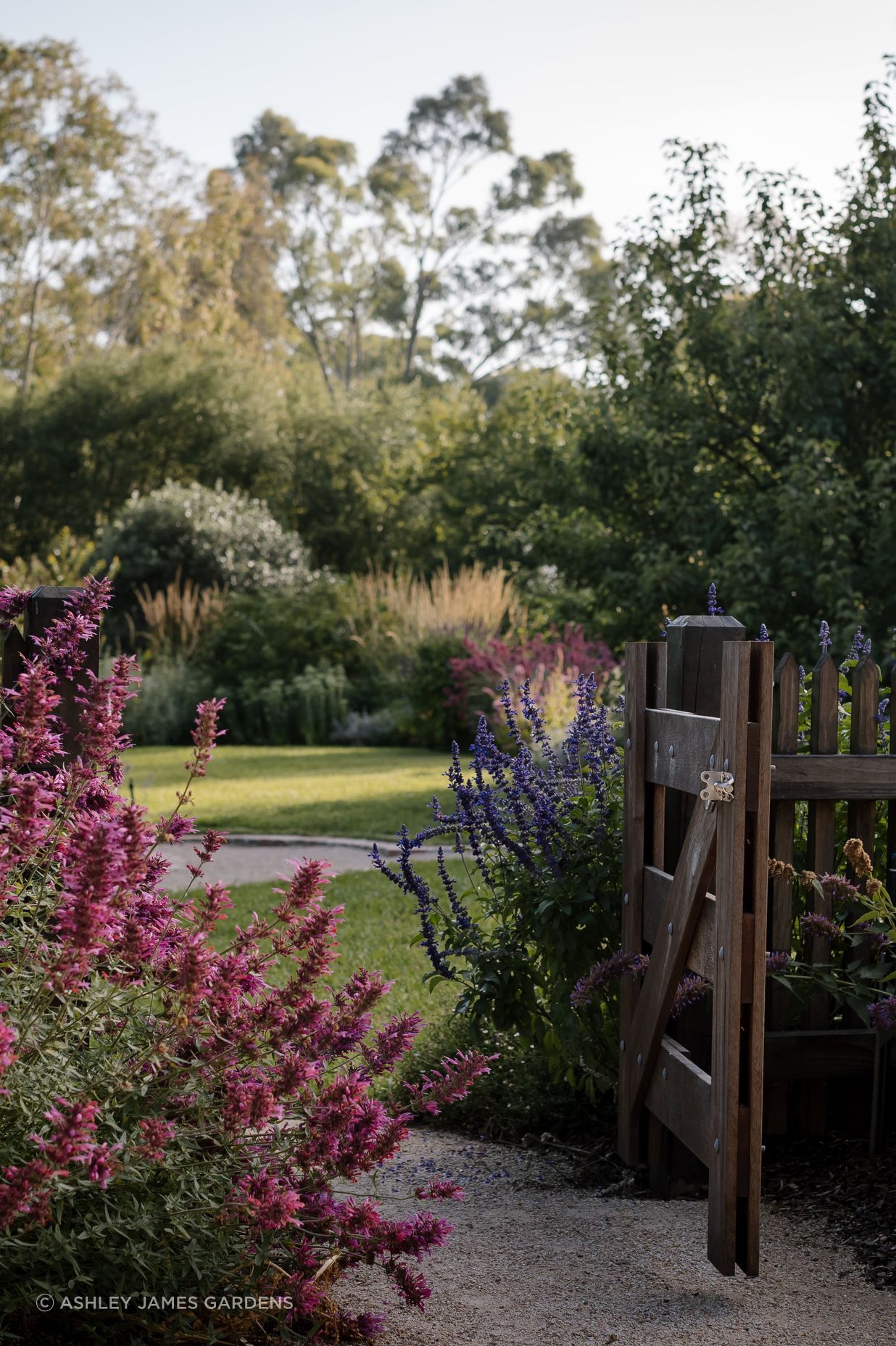 21 of the best shadeloving plants for Australian gardens ArchiPro NZ