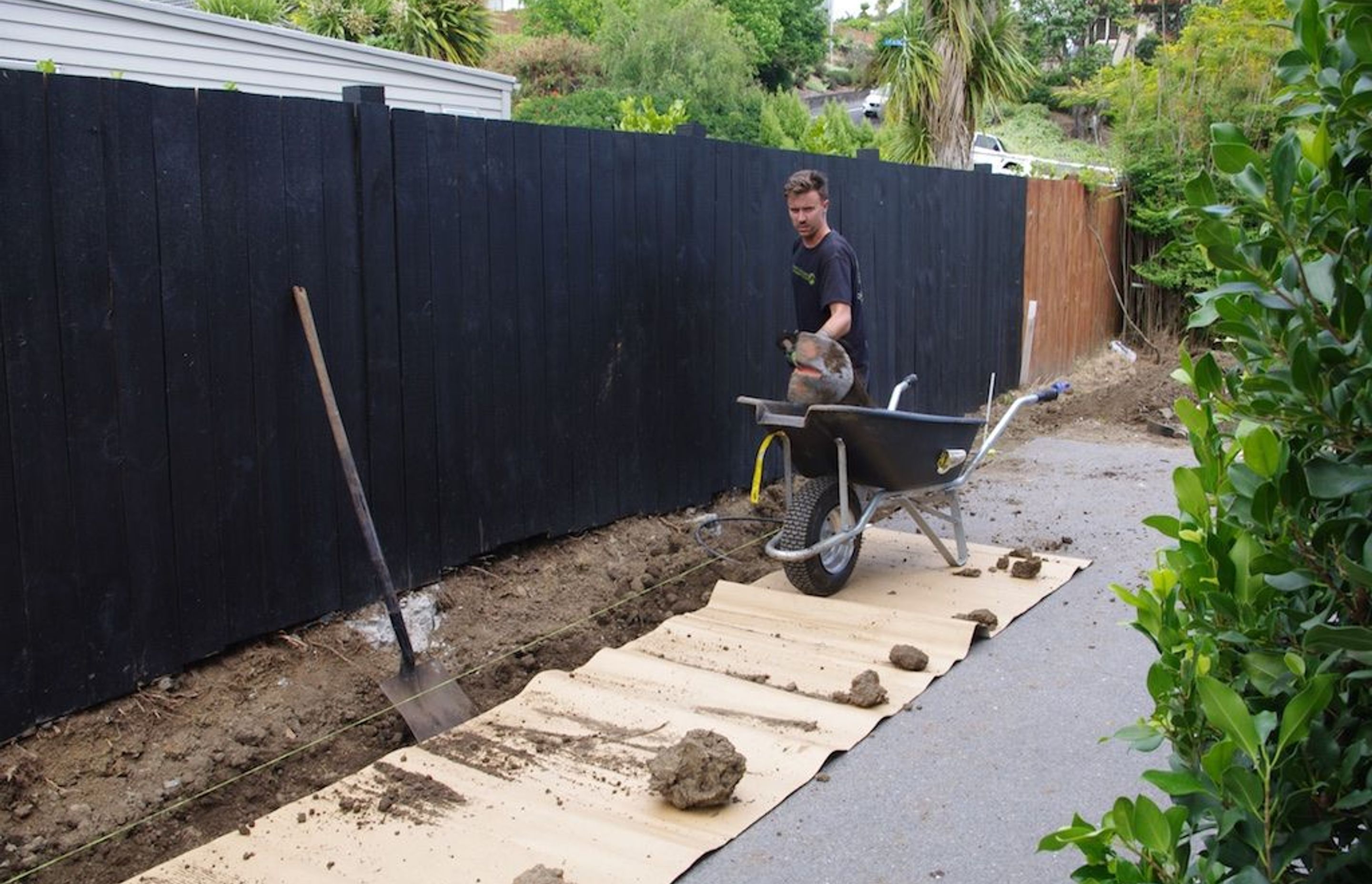 Digging the trench in readiness for the driveway hedge