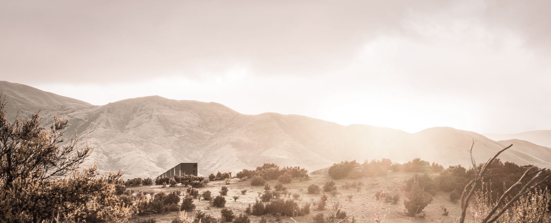 Lightforge Photography Banner image