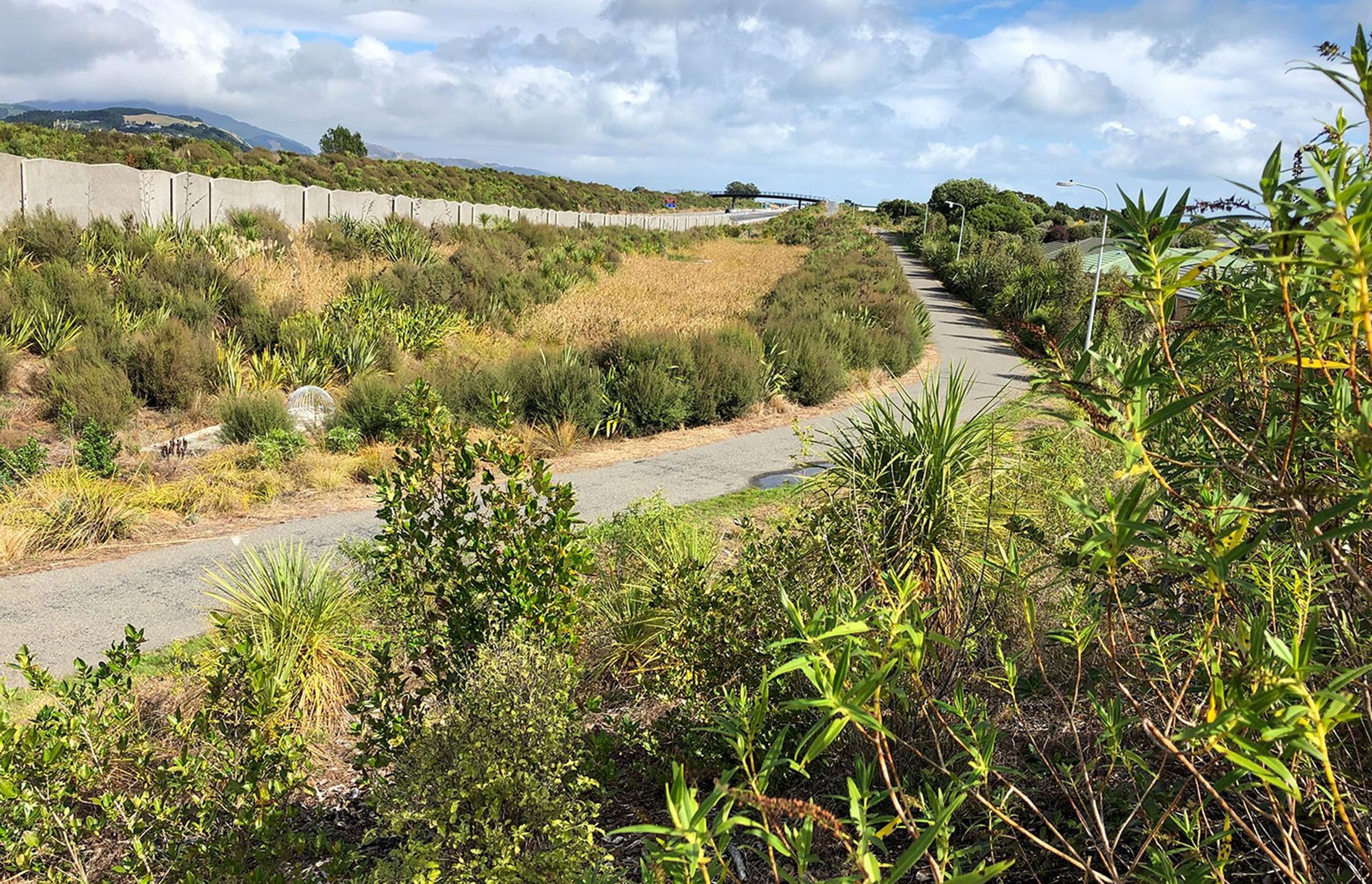 Mackays to Peka Peka Expressway by Natural Habitats Landscapes ArchiPro NZ