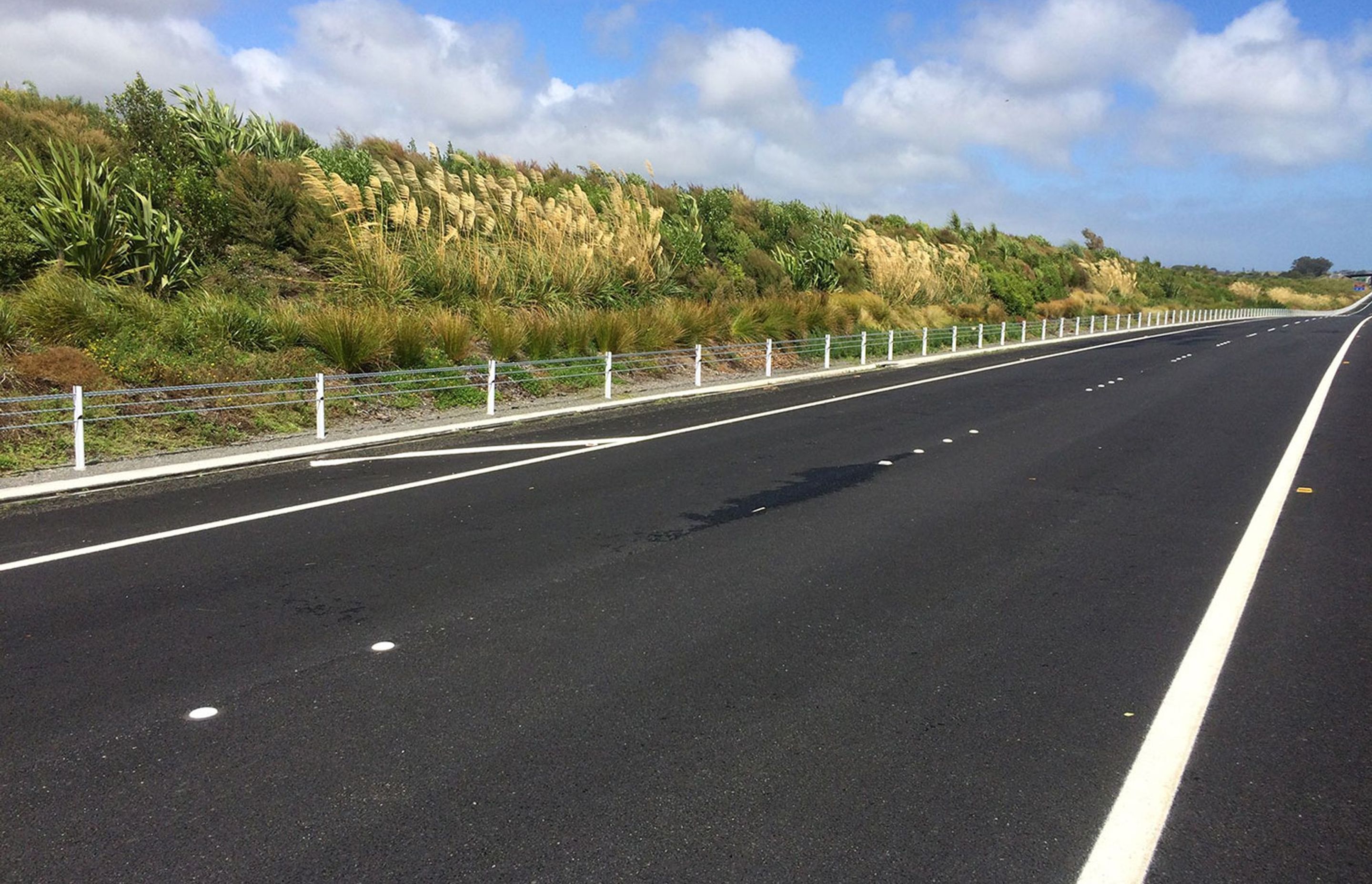 Mackays to Peka Peka Expressway by Natural Habitats Landscapes