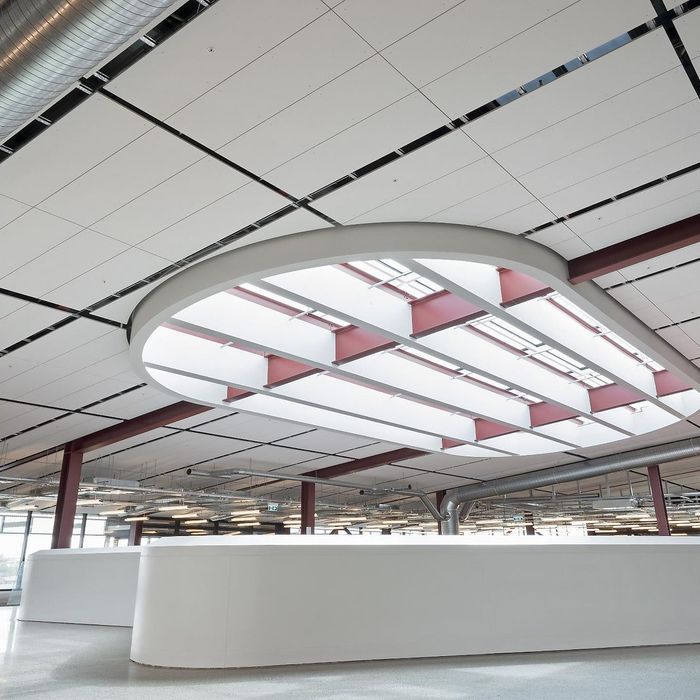 Asona | Triton Cloud Panel