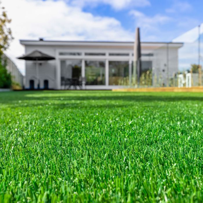 Summer 40 - Artificial Grass