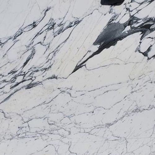 Arabescato Fantastico - Platinum Marble