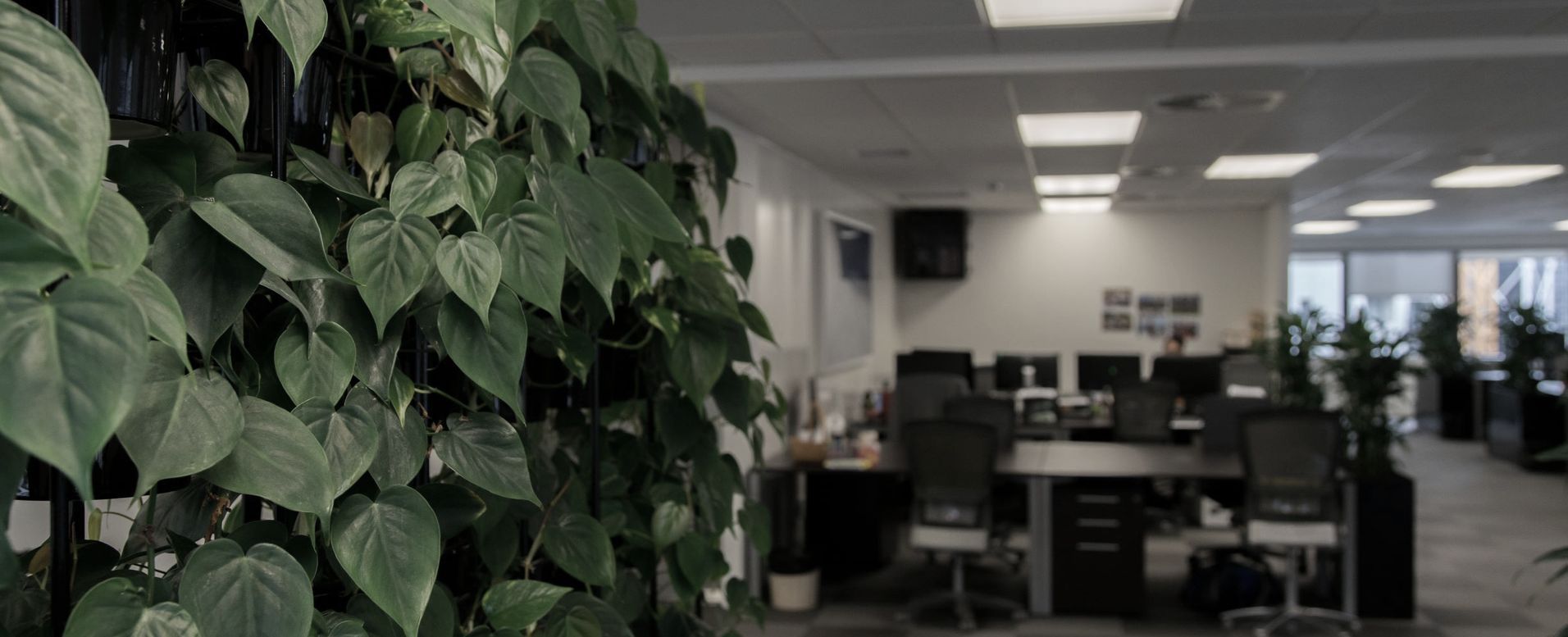 Hire Plants Banner image