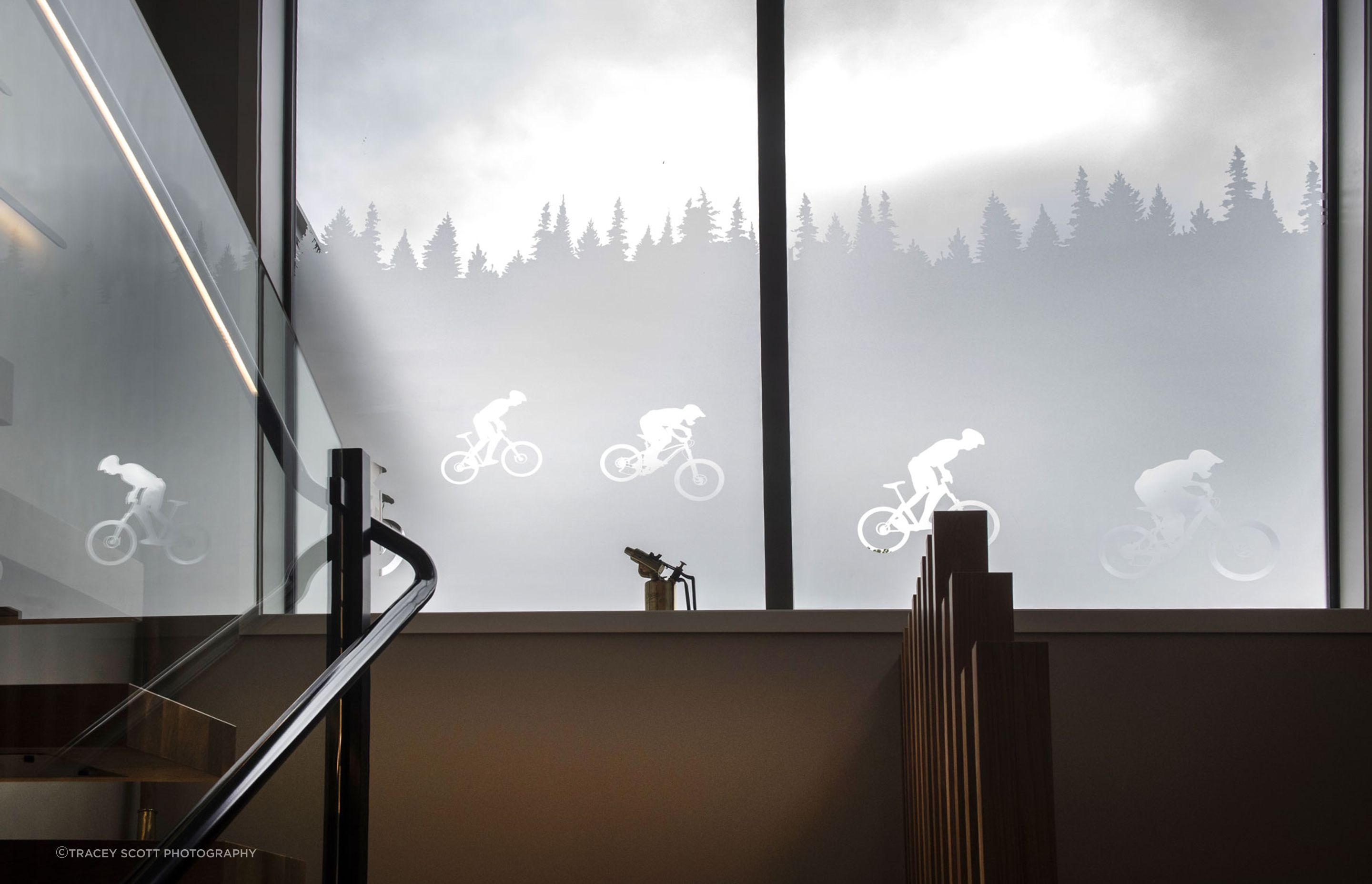 Window film to hide the neighbours roof has images of the nearby forest and cyclists