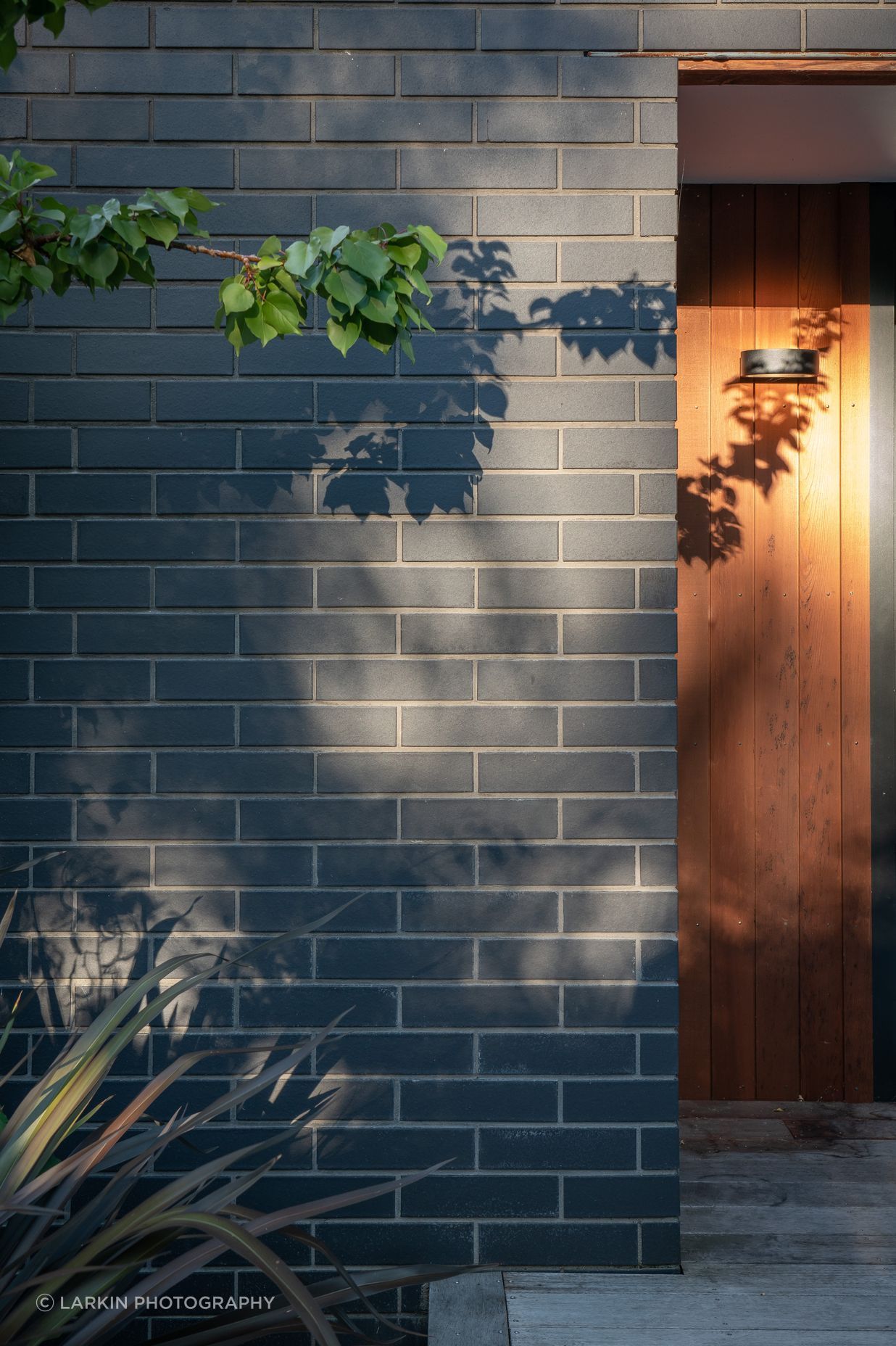 View of Tranquil Retreat Apartment by Sorted Architecture | ArchiPro NZ