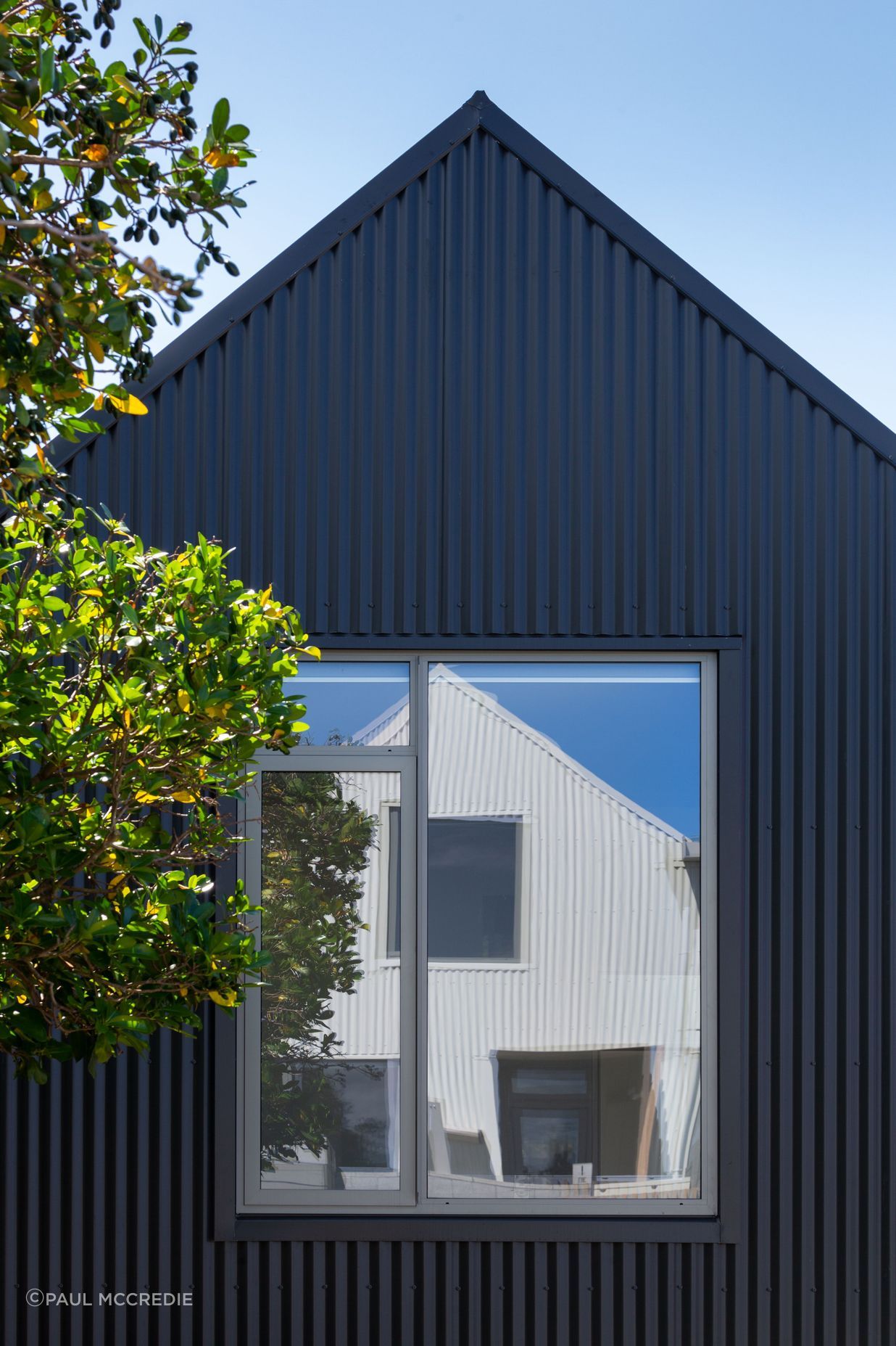 Adelaide Road Townhouses by architecture+ | ArchiPro NZ
