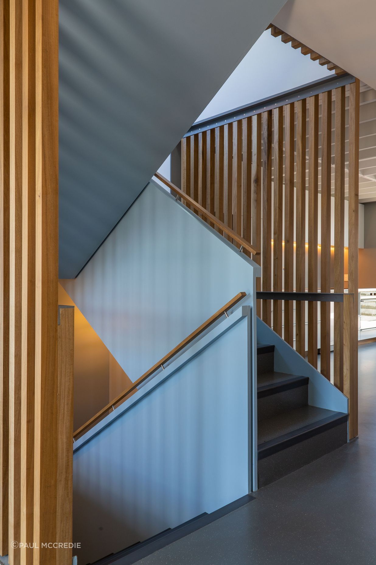 Adelaide Road Townhouses by architecture+ | ArchiPro NZ