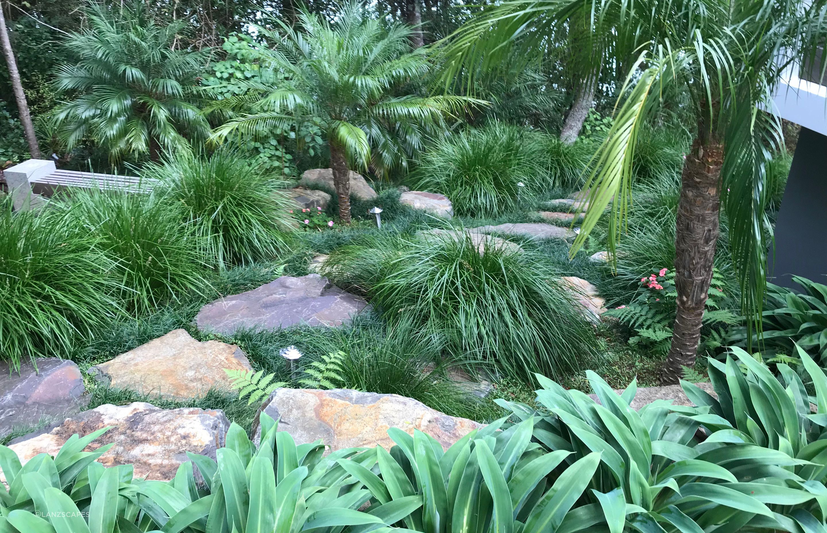 Stone steps with native and sub tropical planting theme.