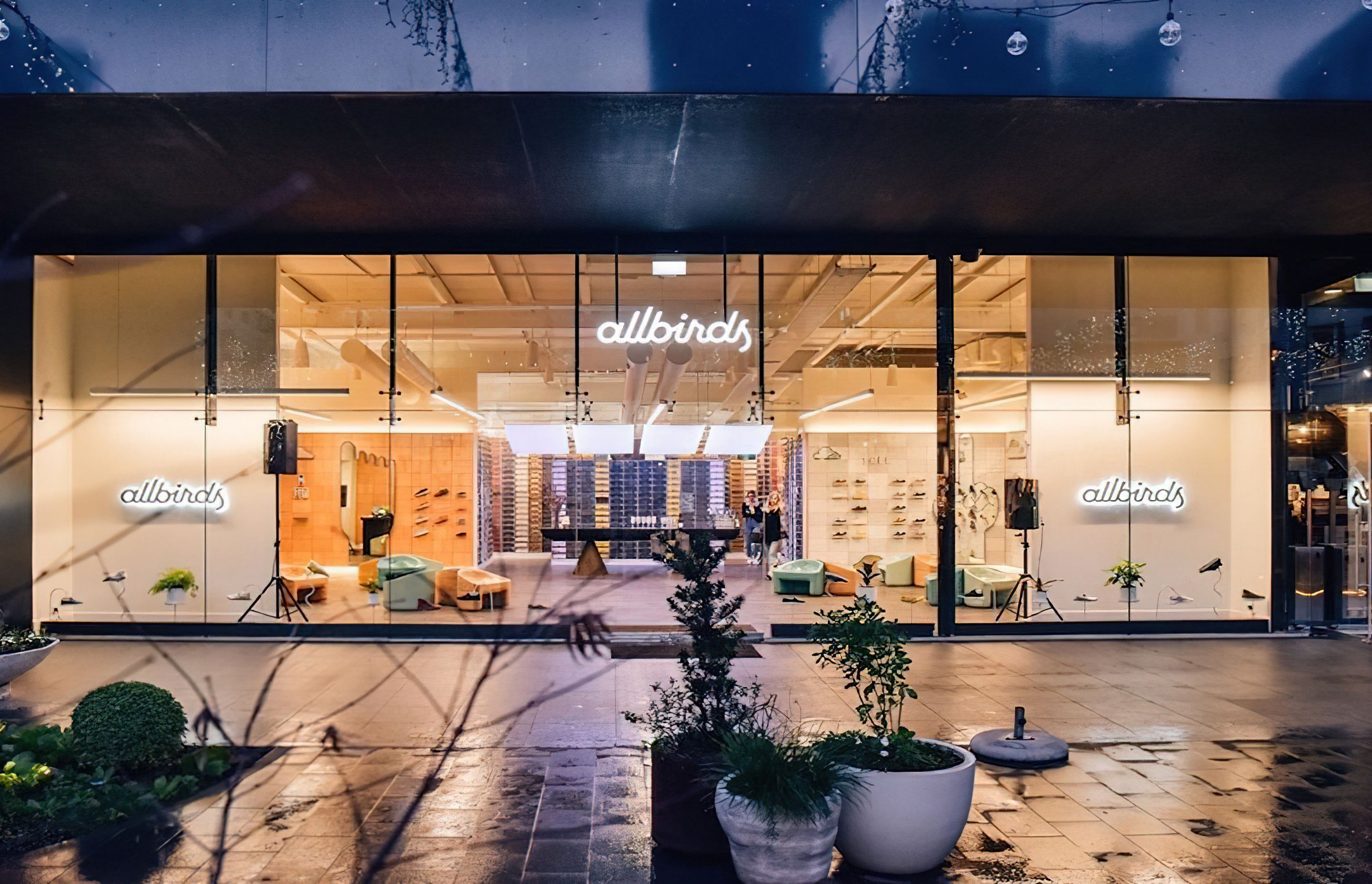 Allbirds britomart outlet