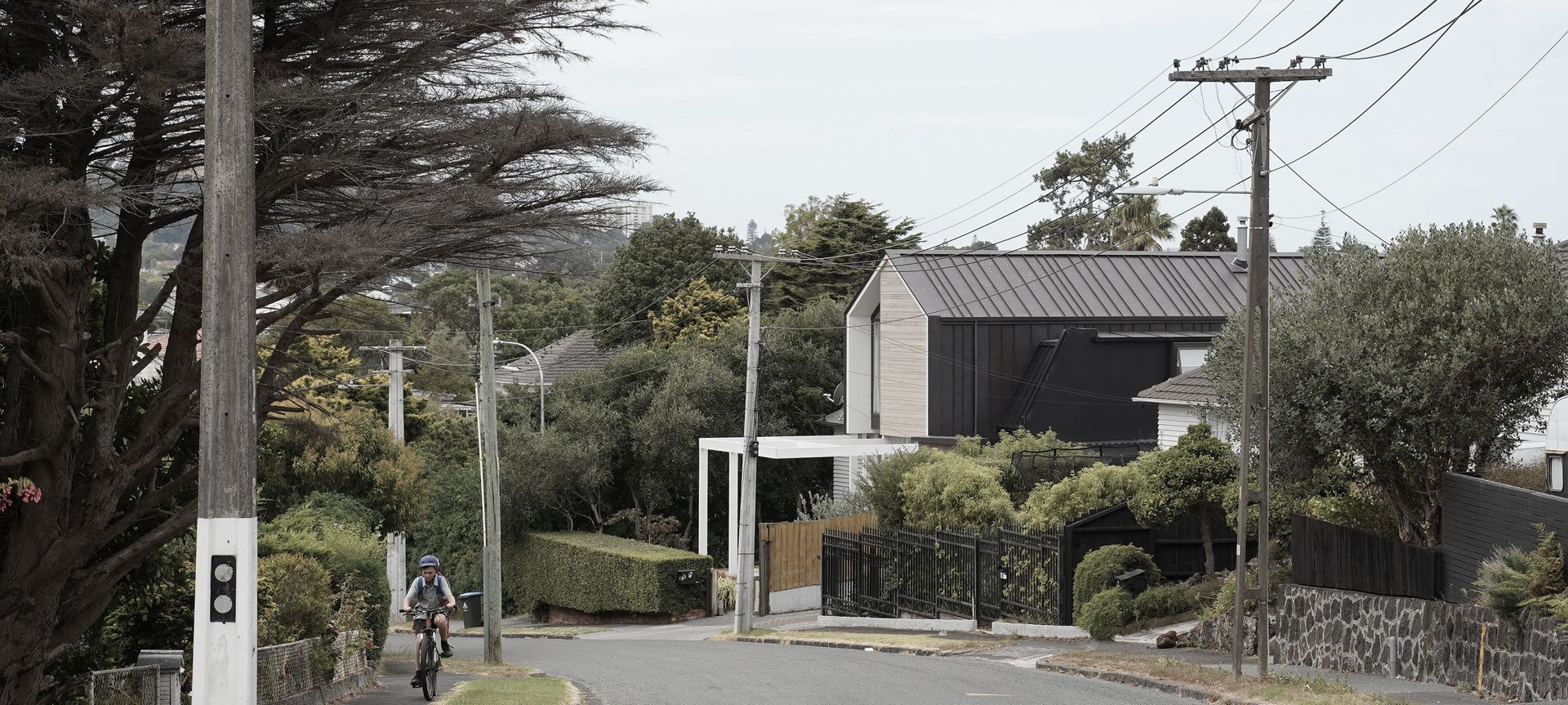 Dally Tce by Earlybird Construction ArchiPro NZ