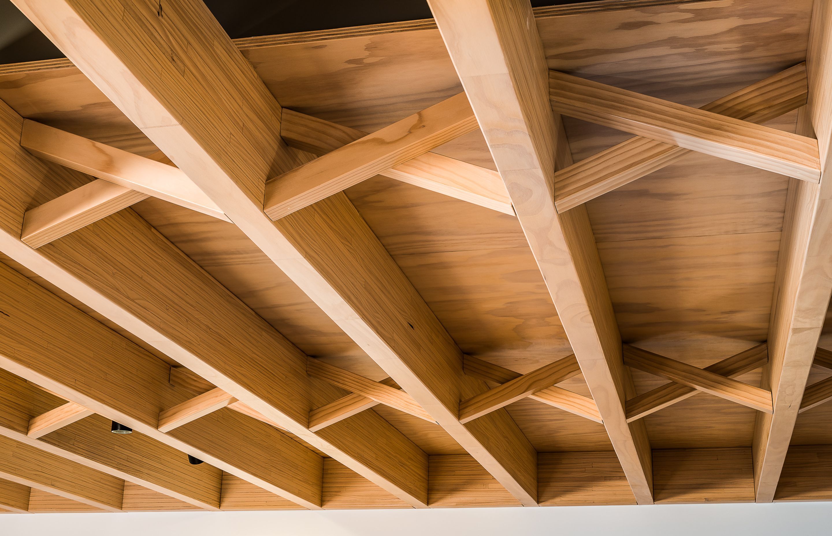 LVL beams have been stripped right back and a cross-brace motif employed to showcase the inherent beauty of the timber.