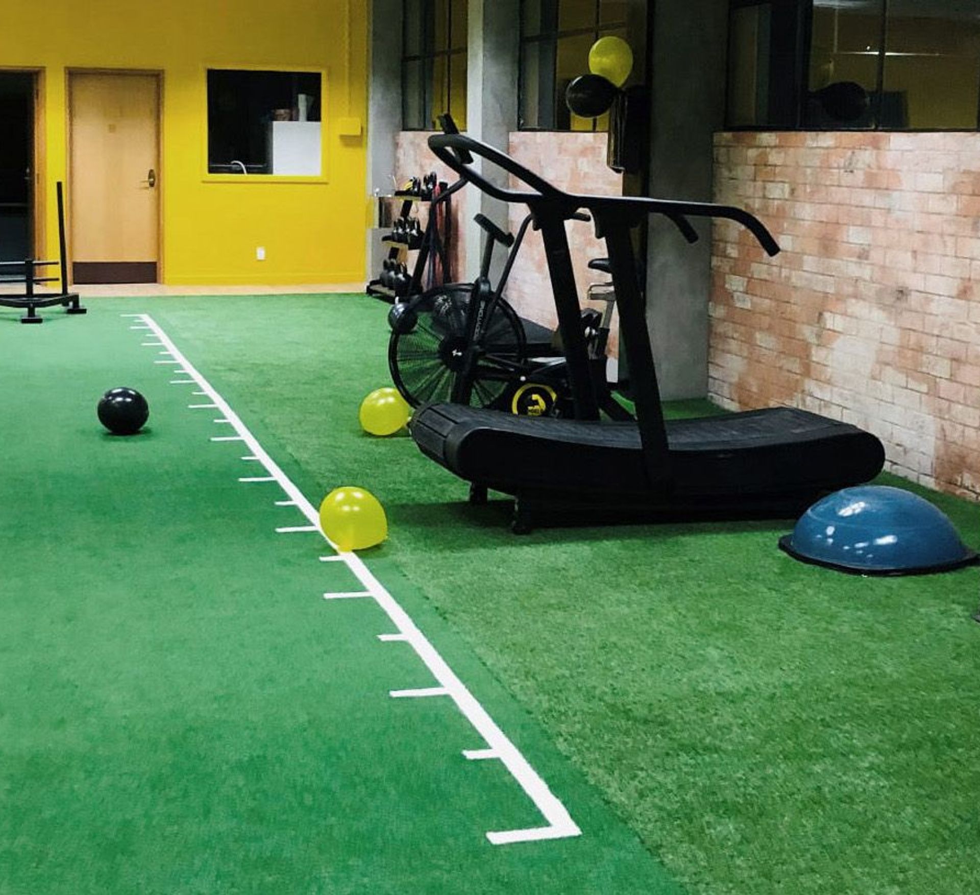 Turf in hotsell garage gym
