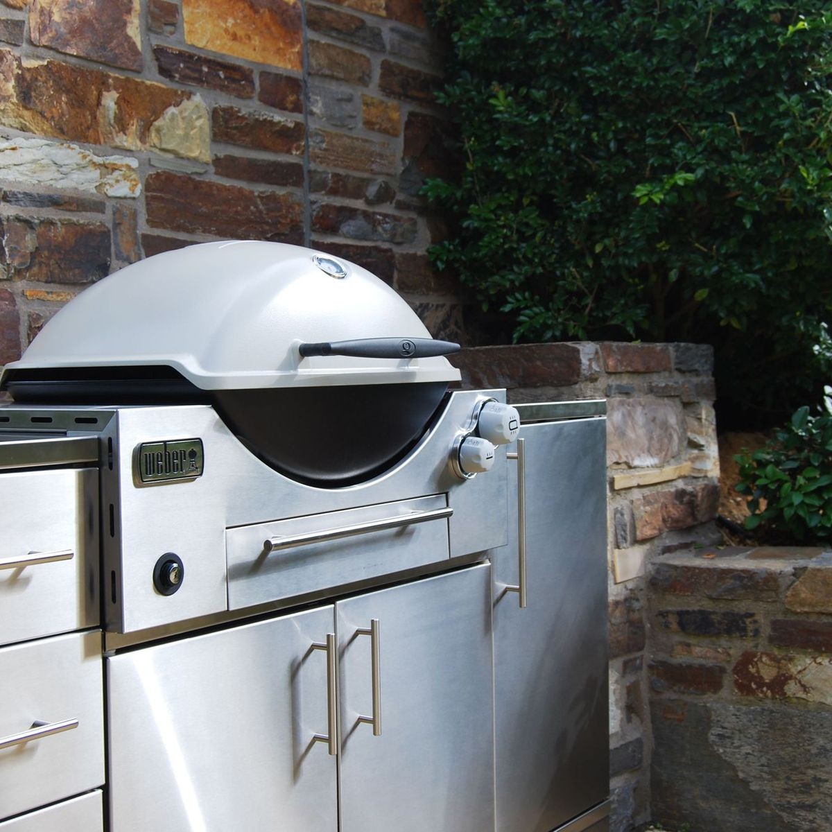 Weber built in family q online