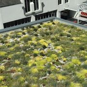 DUOTHERM Green Roof System gallery detail image