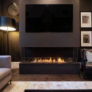 EcoSmart™ Flex 68BY.BXL Bay Fireplace Insert gallery detail image