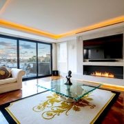 EcoSmart™ Flex 86SS.BX2 Single Sided Fireplace Insert gallery detail image