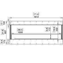 EcoSmart™ Flex 68BY Bay Fireplace Insert gallery detail image