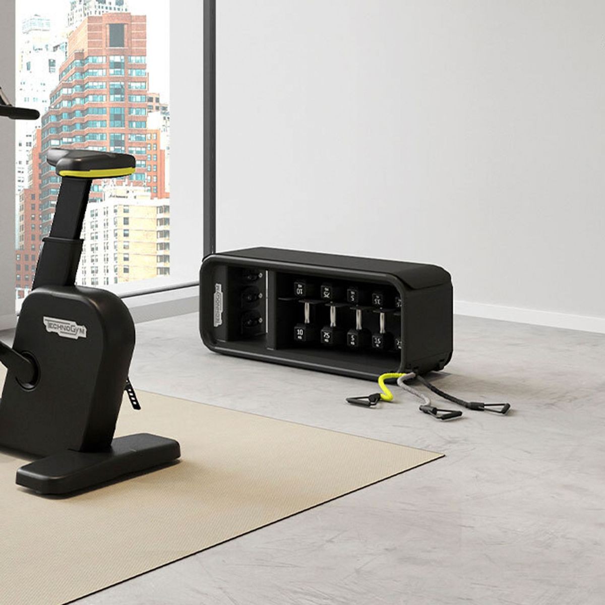 Technogym bench with hotsell weights