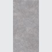 Elegant Grey gallery detail image