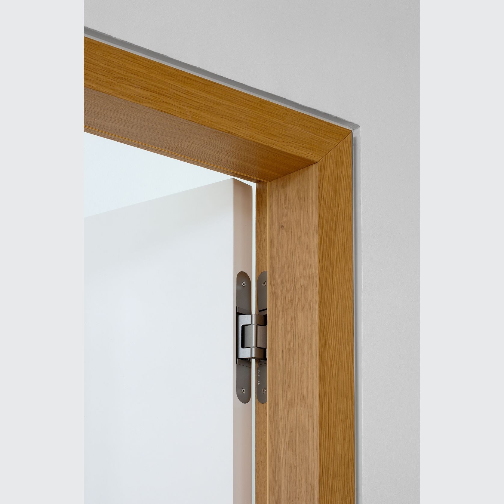 Tectus Invisible Hinges ArchiPro NZ