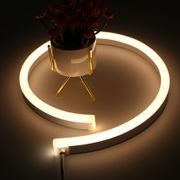 Neon Flex Series IP68 | LDNF300 gallery detail image