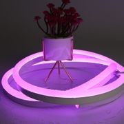 Neon Flex Series IP68 | LDNF300 gallery detail image