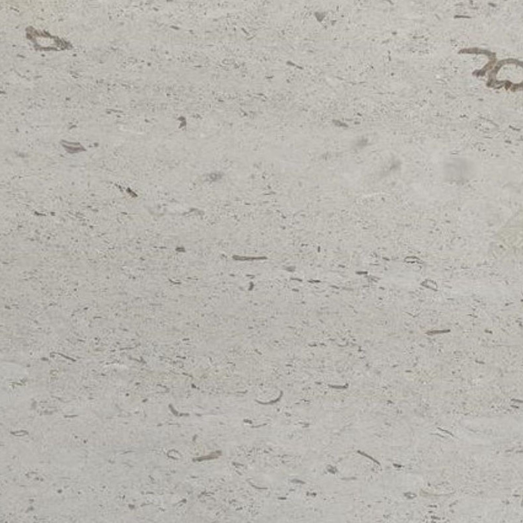 Moleanos Beige - Natural Limestone | ArchiPro NZ