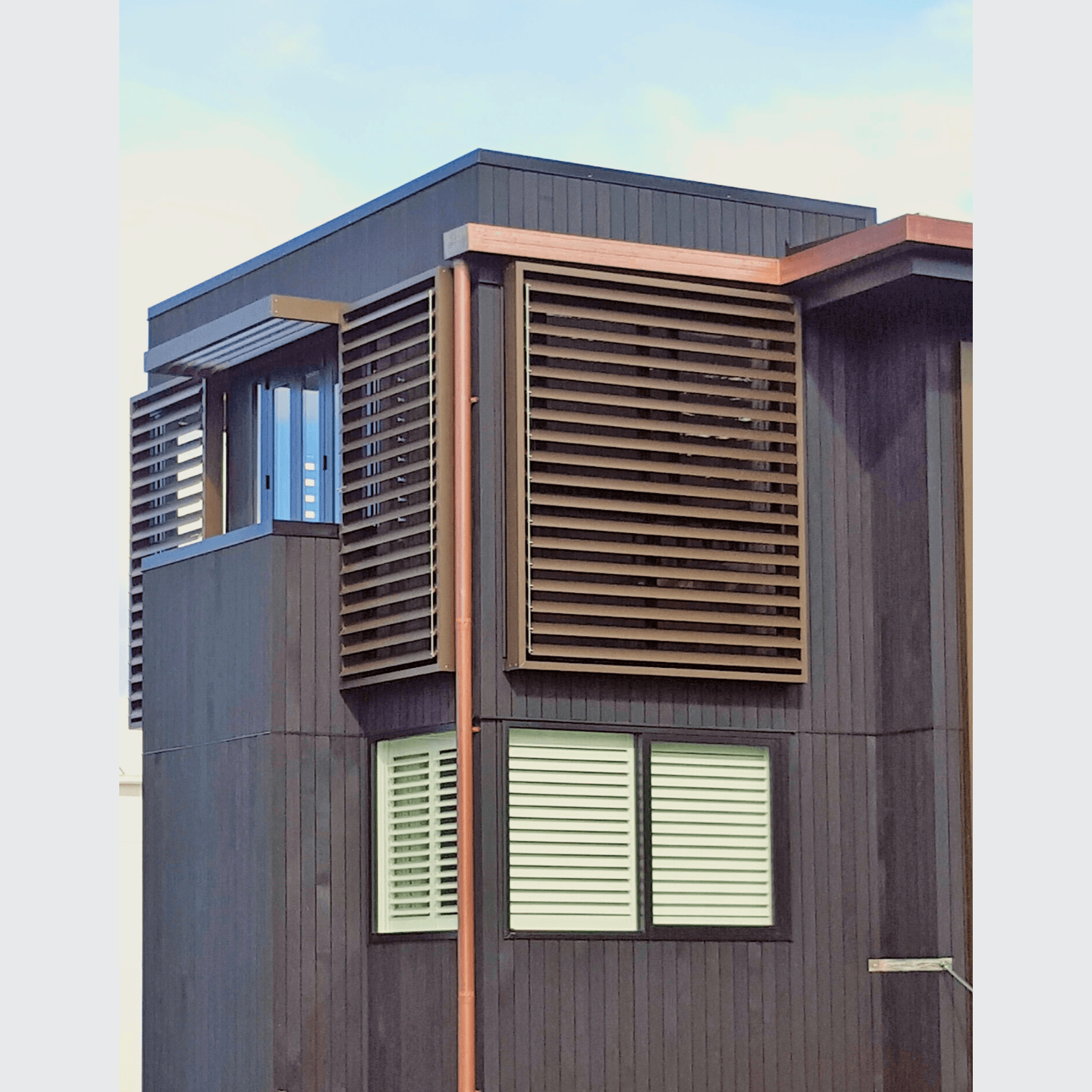 Window Louvre Blinds ArchiPro NZ