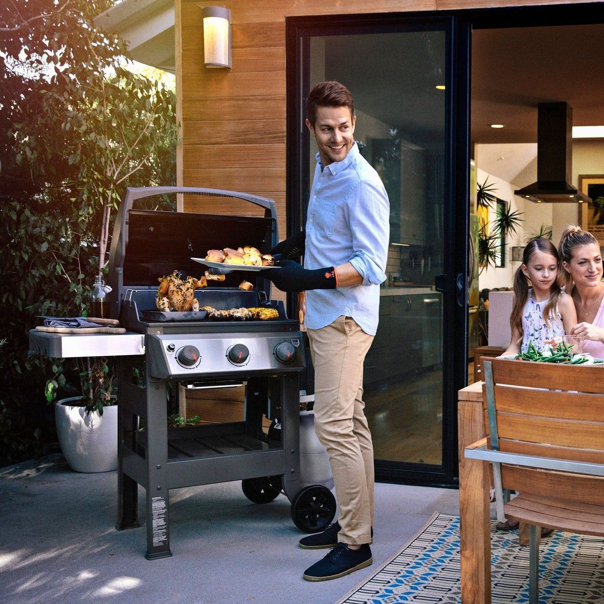Weber online spirit 310