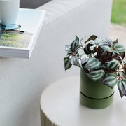 Billie Planter Small - Olive gallery detail image