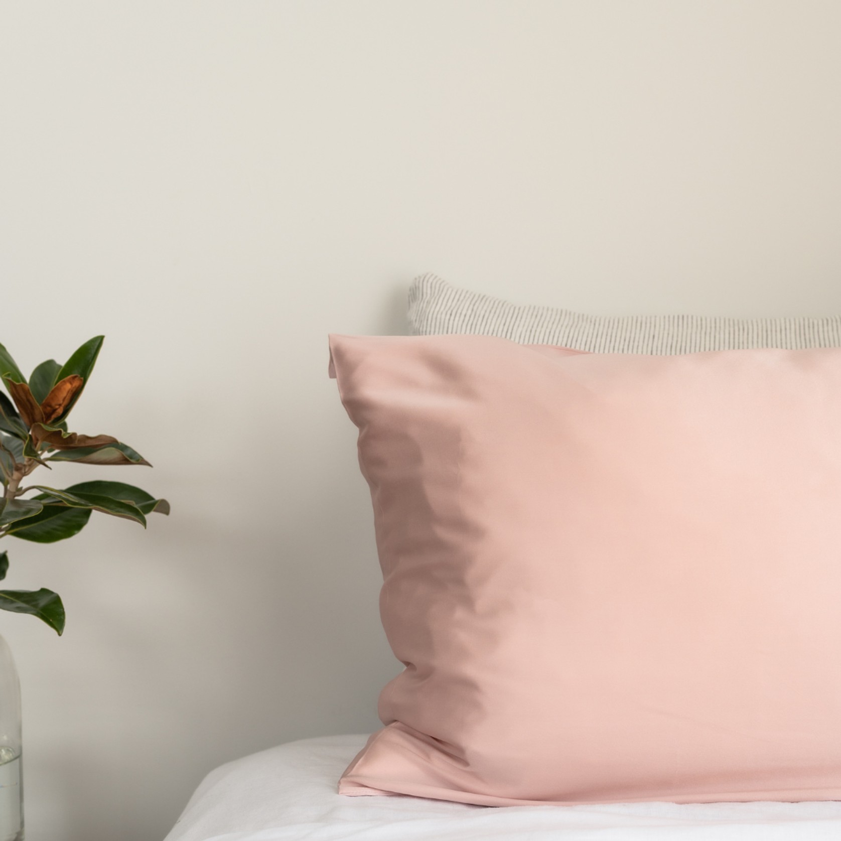 100% Pure Silk Pillowcase Pair - Blush gallery detail image
