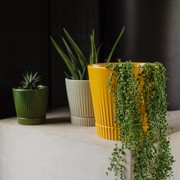 Indie Planter Large - Sage gallery detail image