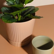 Indie Planter Medium - Sage gallery detail image