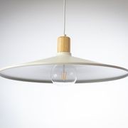 60cm Metal Pendant with Wooden Lamp Holder gallery detail image