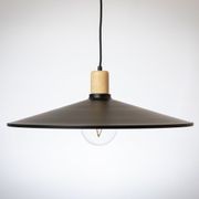 60cm Metal Pendant with Wooden Lamp Holder gallery detail image