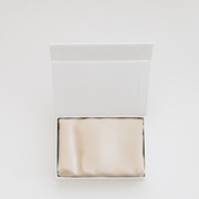 100% Pure Silk Pillowcase - Champagne gallery detail image