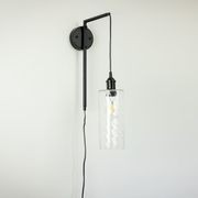 Frankie Swing Arm Wall Light with Billie Glass Shade Options gallery detail image