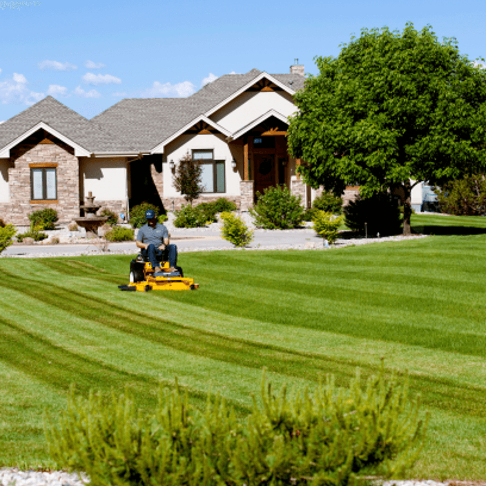 Walker Mower R21 ArchiPro NZ