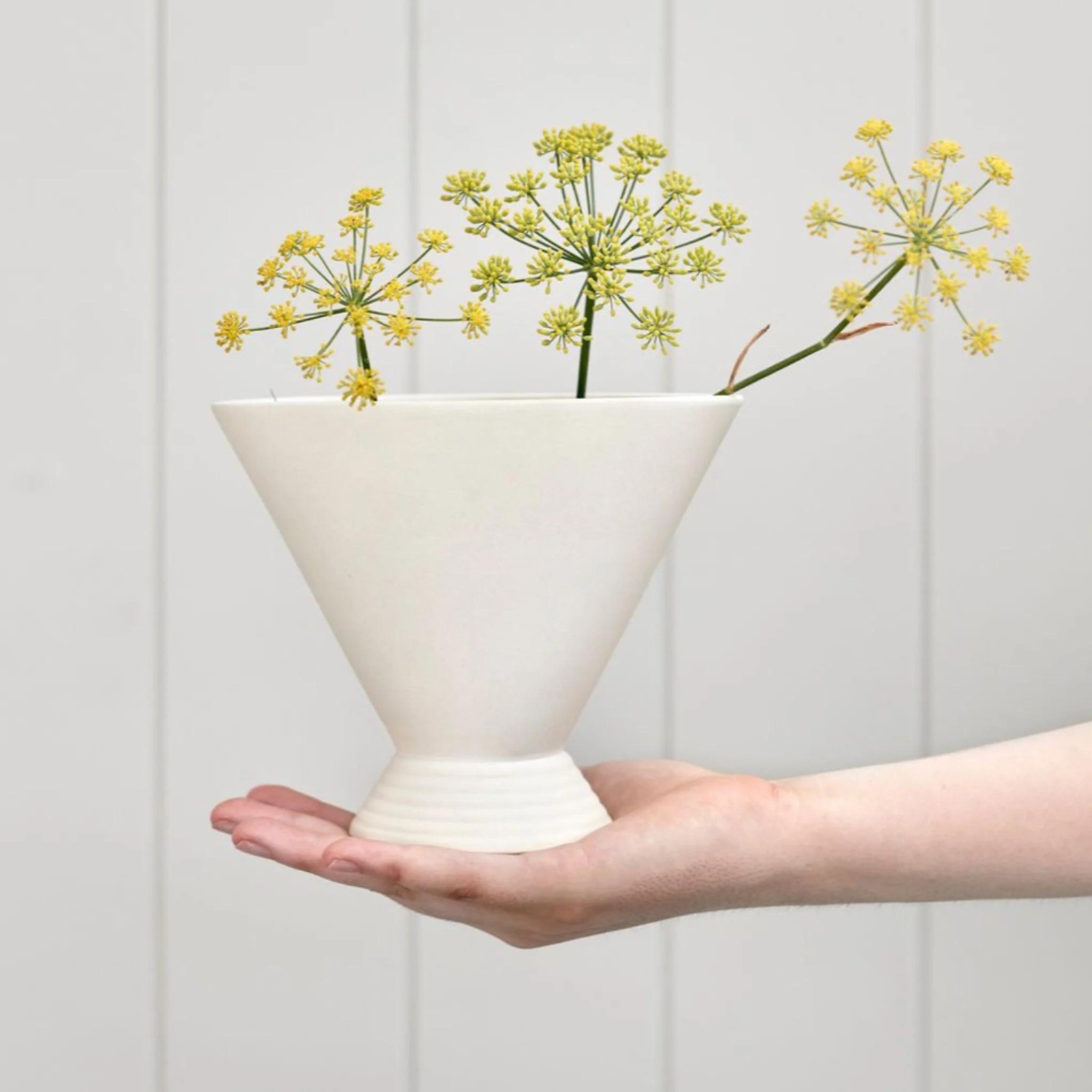 Scallop Vase Natural gallery detail image
