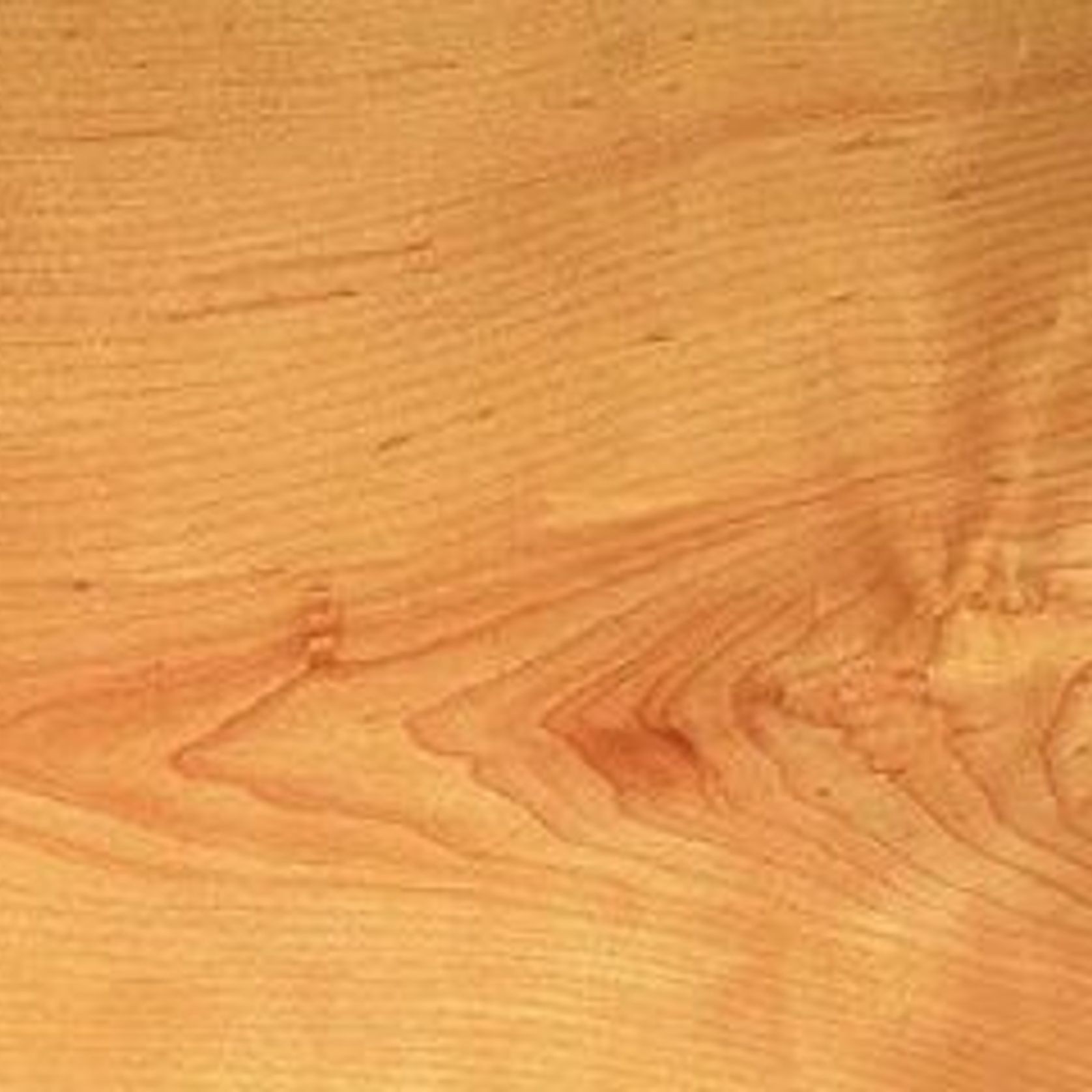 American Hard Maple ArchiPro NZ