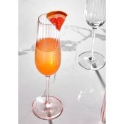 Blush 4Pk Champagne Glass gallery detail image