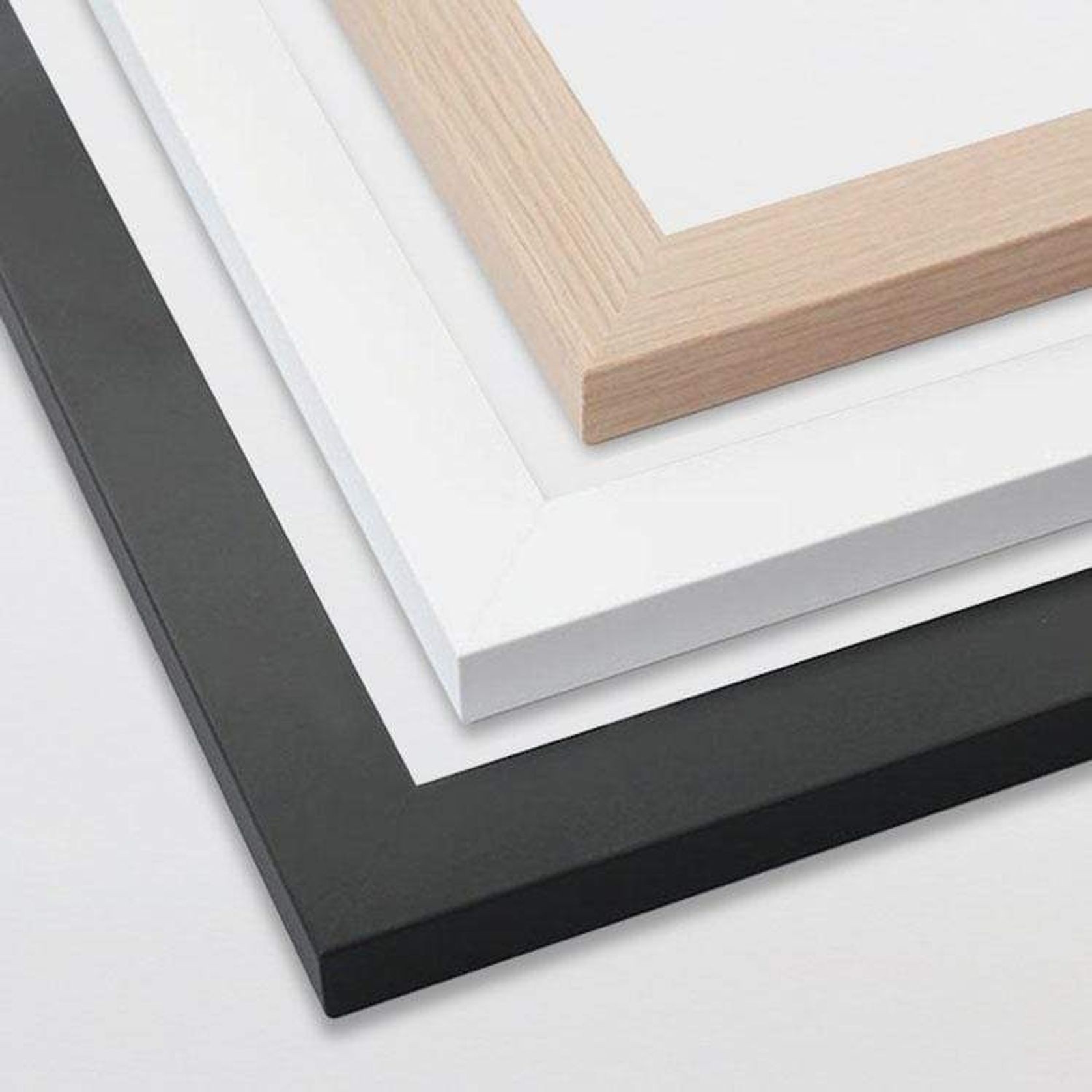Kakapo Art Print gallery detail image