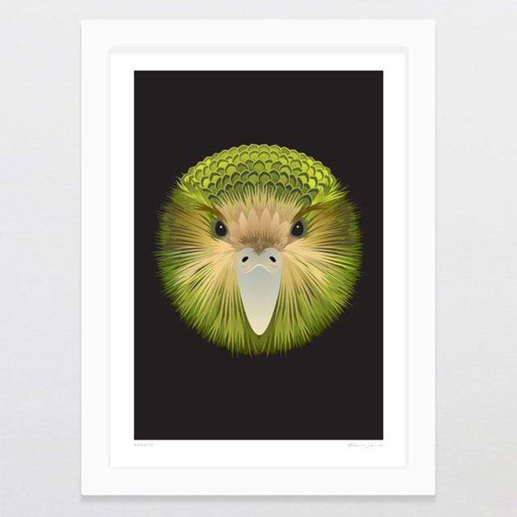 Kakapo Art Print gallery detail image