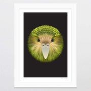Kakapo Art Print gallery detail image