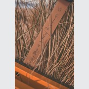 Everyday Life Narrow Armchair Outdoor by De Padova gallery detail image