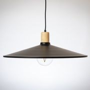 60cm Metal Pendant with Wooden Lamp Holder gallery detail image